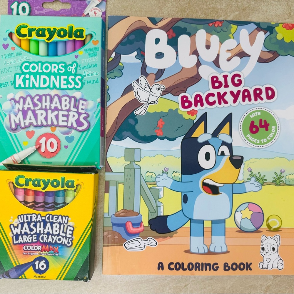 Bluey Plush, Where's Bluey Activity Book, Magnetic Play Set, Crayons, - Picture 5 of 14